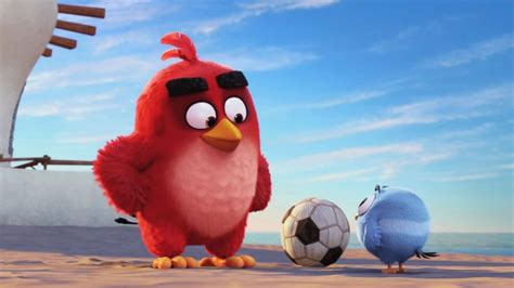 wallpaper angry bird red|red angry birds 23 images.